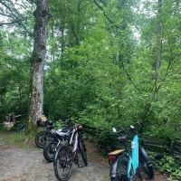Beall's Bicycles ico