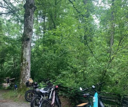 Beall's Bicycles
