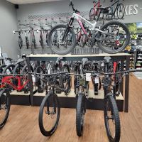 Trek Bicycle Raleigh Holly Park ico