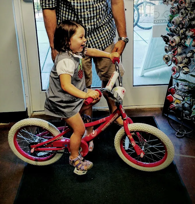 TLC For Bikes Picture 9