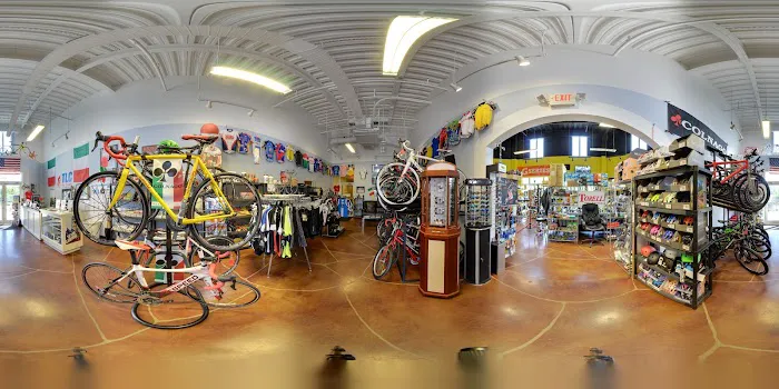TLC For Bikes Picture 1