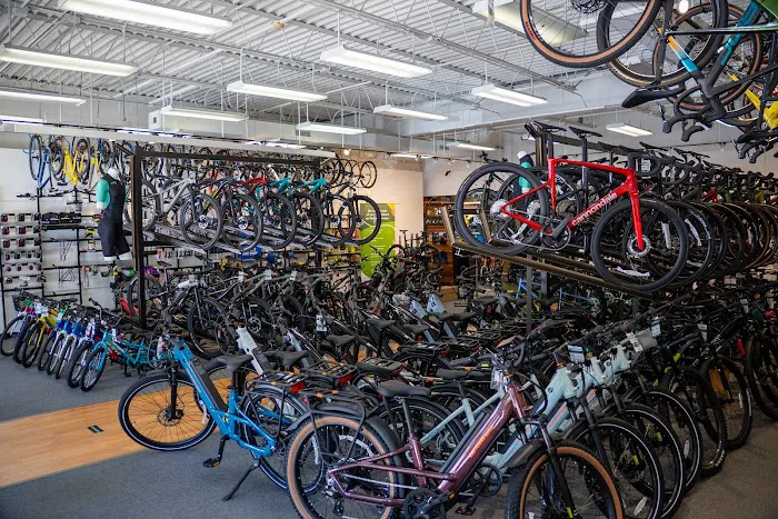 Conte's Bike Shop Picture 3