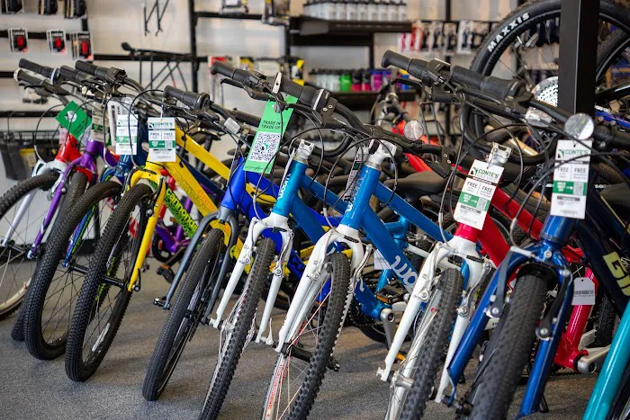 Conte's Bike Shop Picture 7