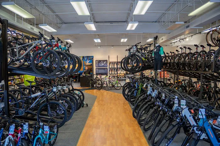Conte's Bike Shop Picture 9