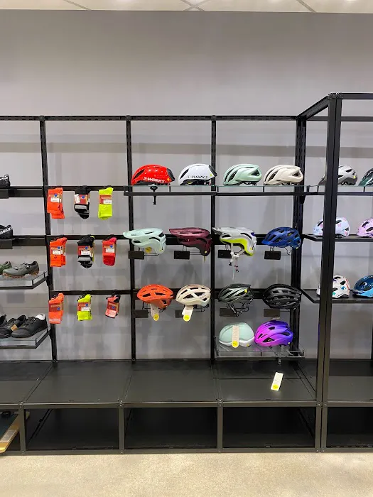 Conte's Bike Shop Picture 5