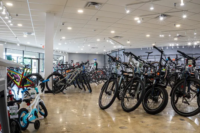 Conte's Bike Shop Picture 2