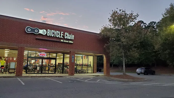 Bicycle Chain - Cary/Apex Picture 6