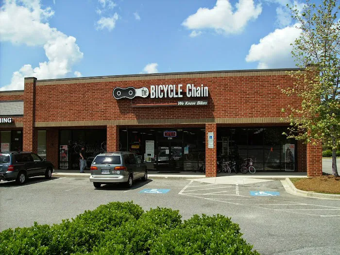 Bicycle Chain - Cary/Apex Picture 10