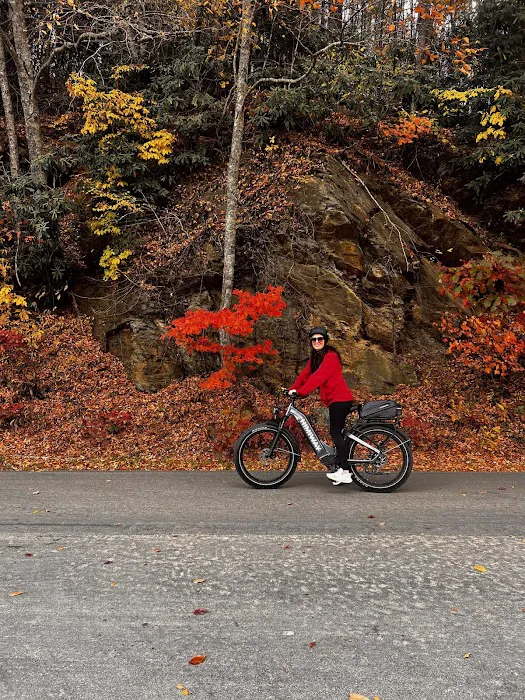 Tobacco Trail Bikes Picture 6