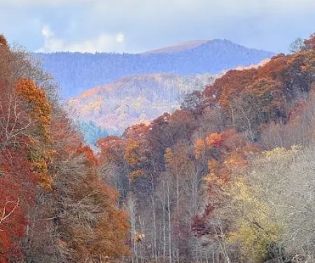 Tobacco Trail Bikes