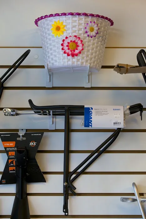 Bullseye Bicycle Picture 4