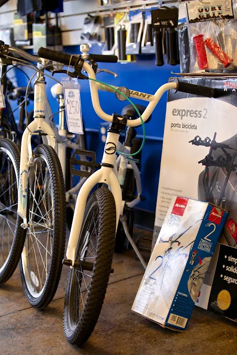 Bullseye Bicycle Picture 7