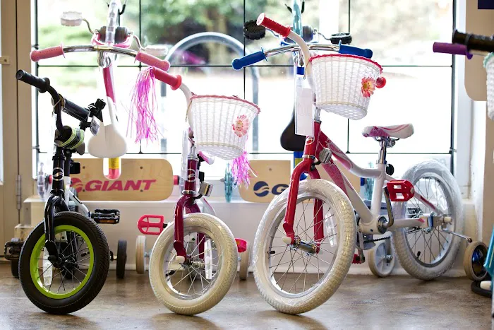 Bullseye Bicycle Picture 8
