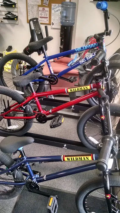 Back To Dirt Bikes Picture 3