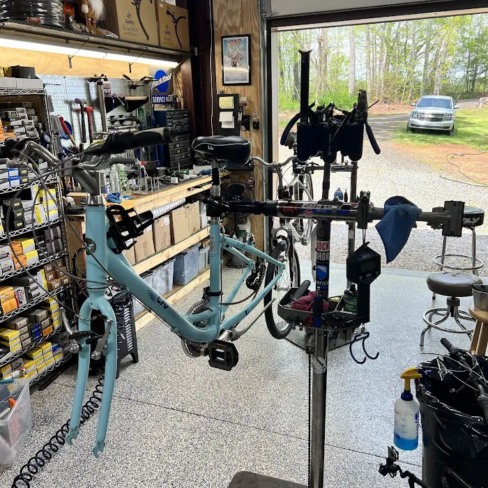 Cherry Blossom Cycles Picture 8