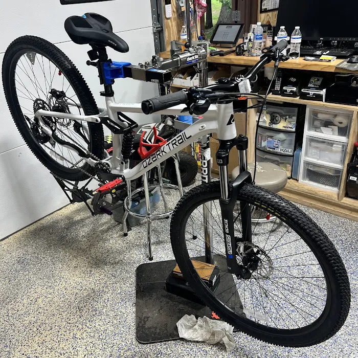 Cherry Blossom Cycles Picture 4