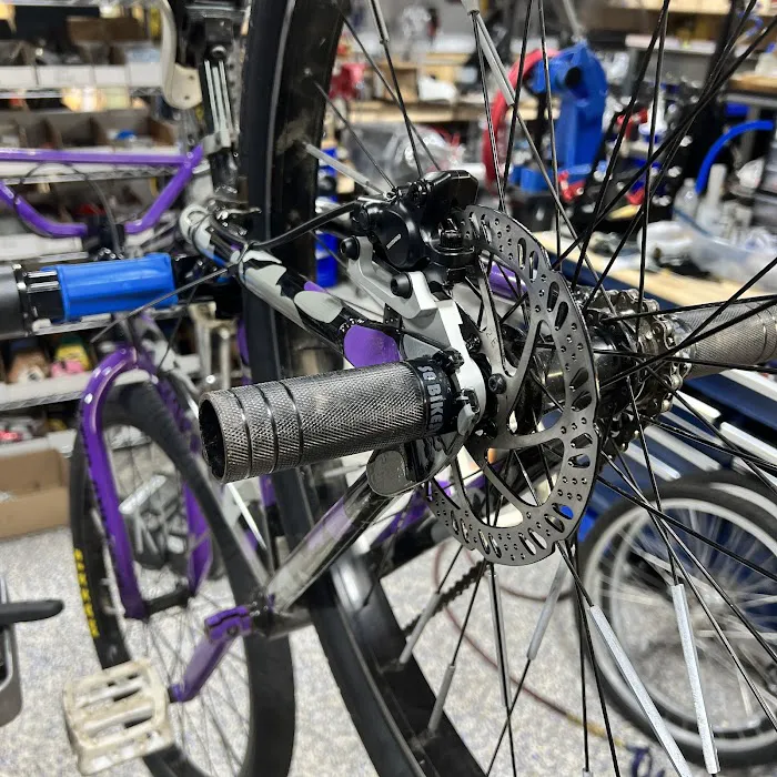 Cherry Blossom Cycles Picture 2