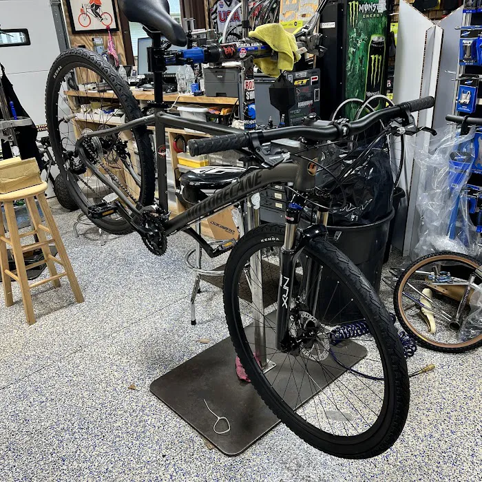 Cherry Blossom Cycles Picture 5