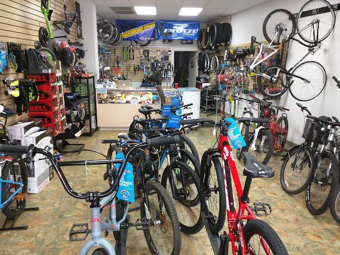 Galactic Bikes Picture 4