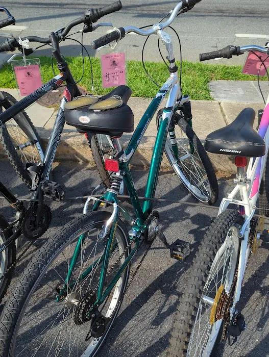 Revolution Cycles Picture 6