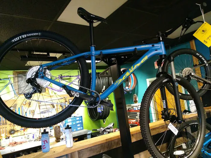 Revolution Cycles Picture 4