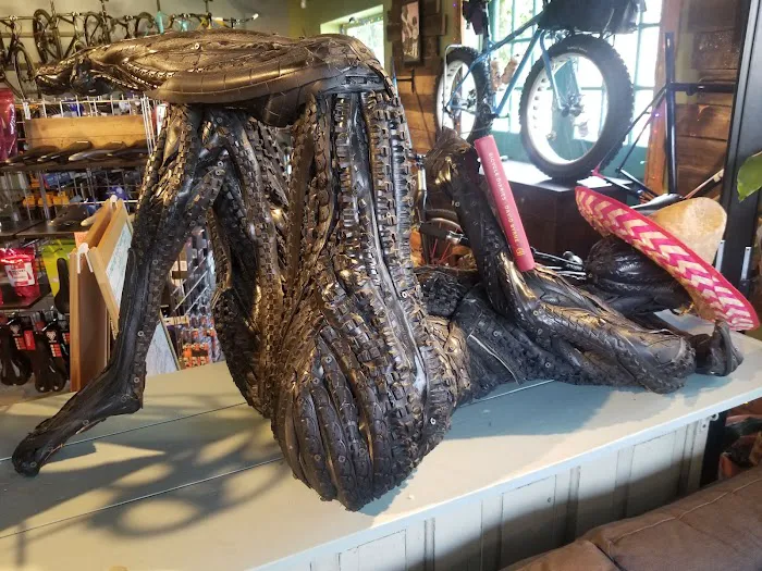 Revolution Cycles Picture 7