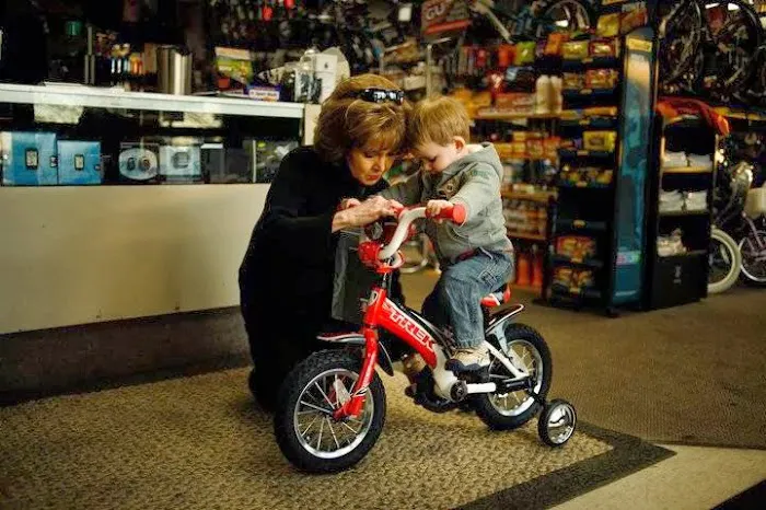 Bicycle Toy and Hobby Sales Picture 4