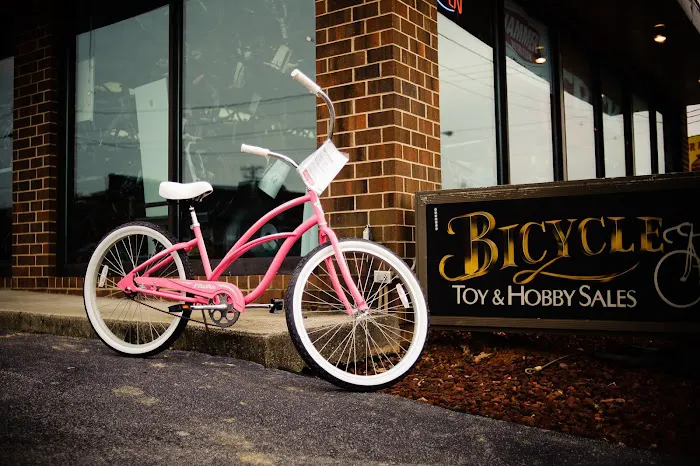 Bicycle Toy and Hobby Sales Picture 2