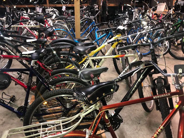 Bicycle Toy and Hobby Sales Picture 9