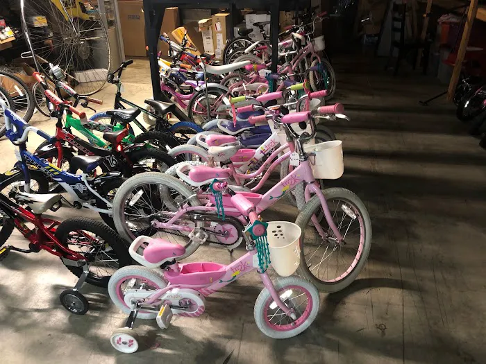 Bicycle Toy and Hobby Sales Picture 8