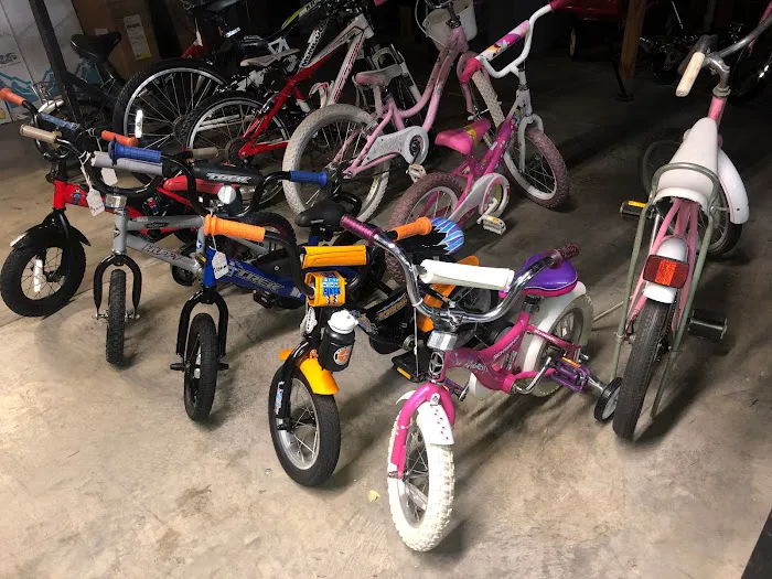 Bicycle Toy and Hobby Sales Picture 10
