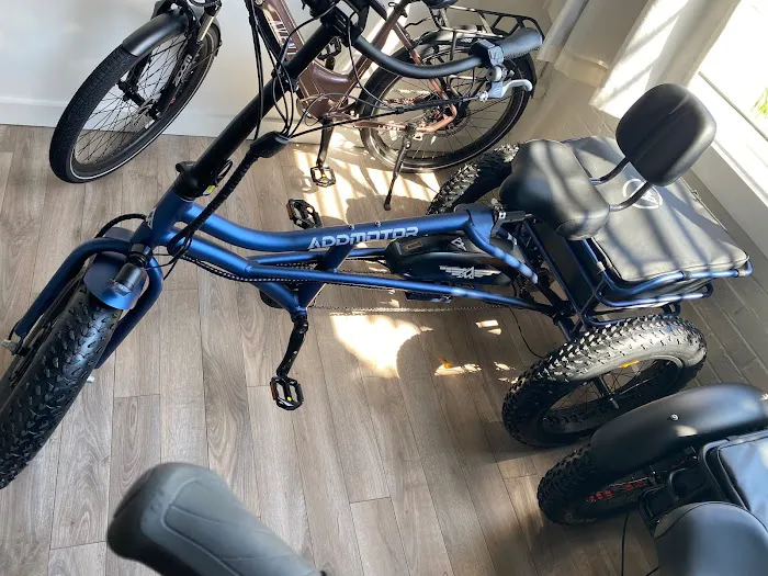 Exalted E-Bikes Picture 7