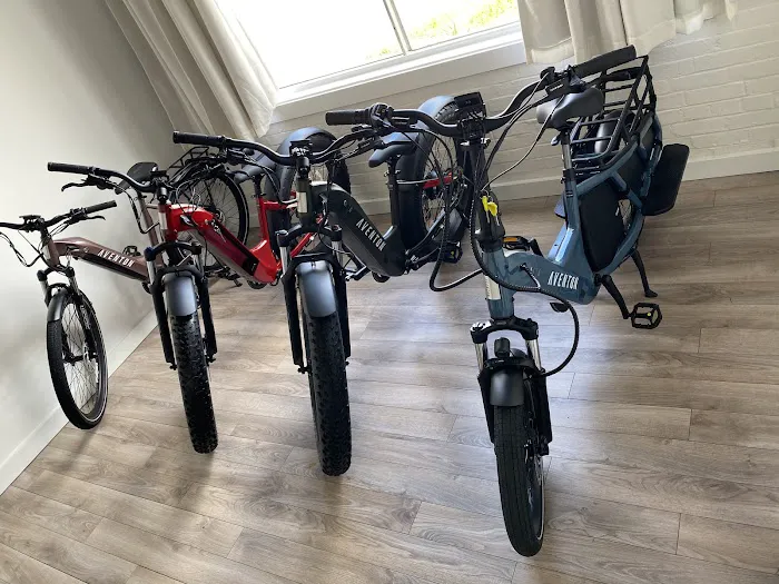 Exalted E-Bikes Picture 10