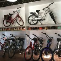 Pedego Electric Bikes Piedmont Triad ico