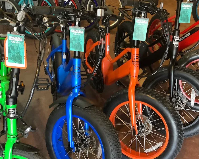 Pedego Electric Bikes Piedmont Triad Picture 2