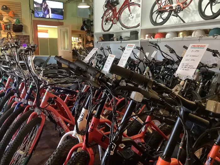 Pedego Electric Bikes Piedmont Triad Picture 4