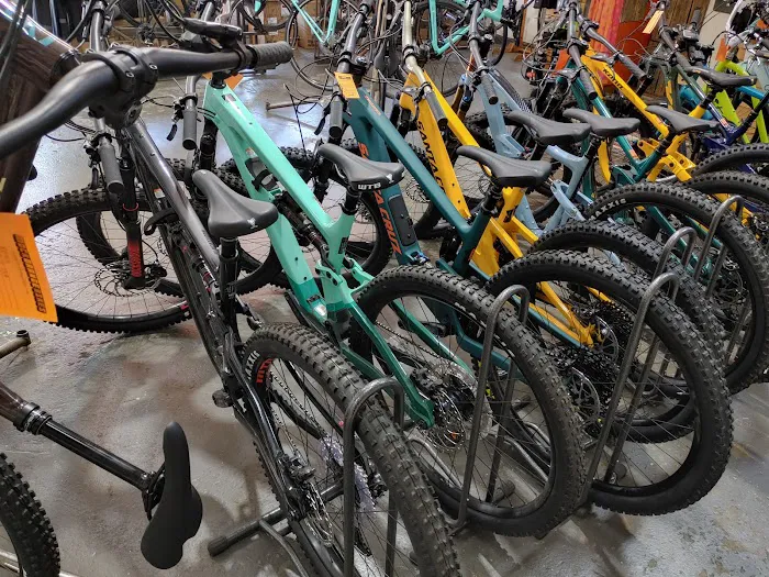 Mock Orange Bikes Picture 9