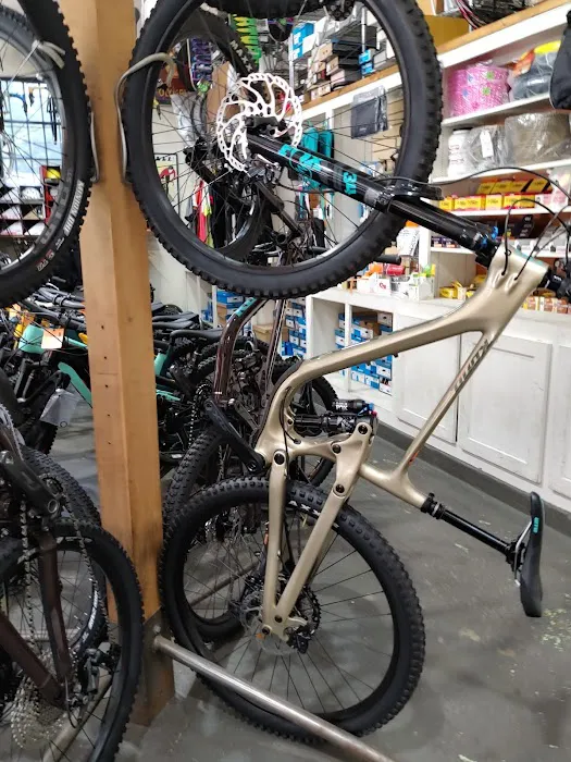 Mock Orange Bikes Picture 10