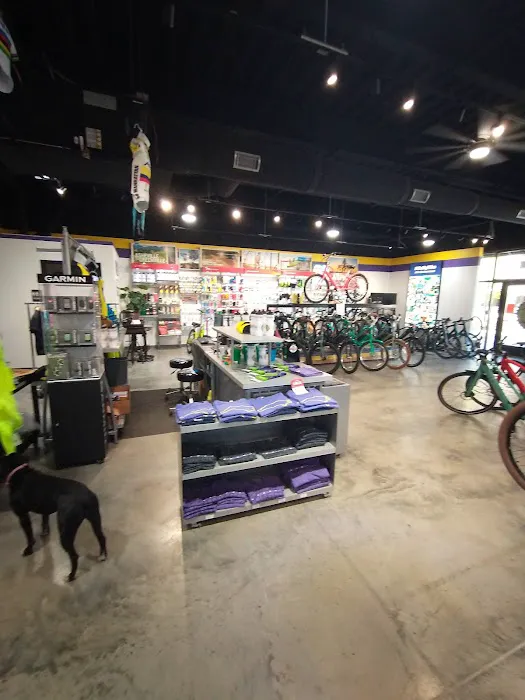 Crossroads Cycling Co - Clemmons Picture 4