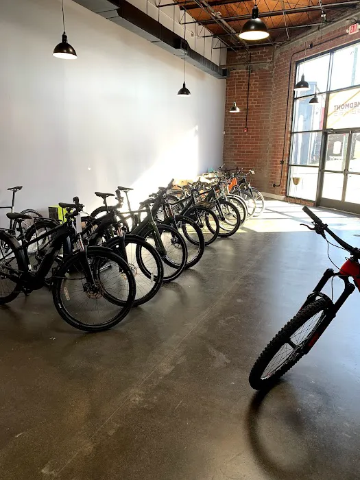 Piedmont eBikes Picture 2