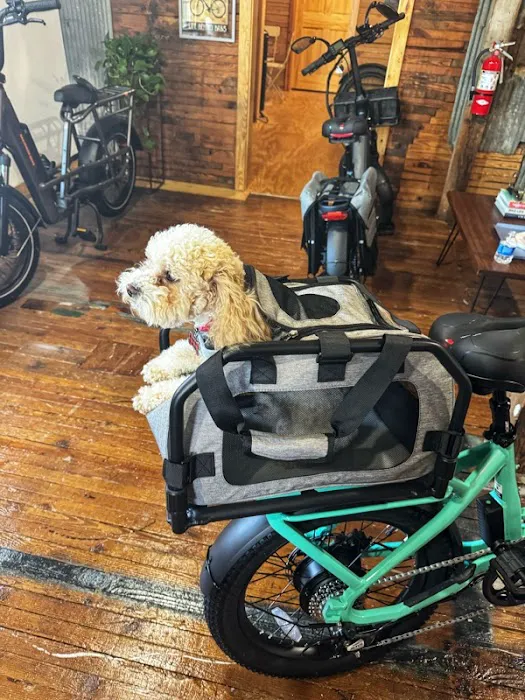 Piedmont eBikes Picture 4