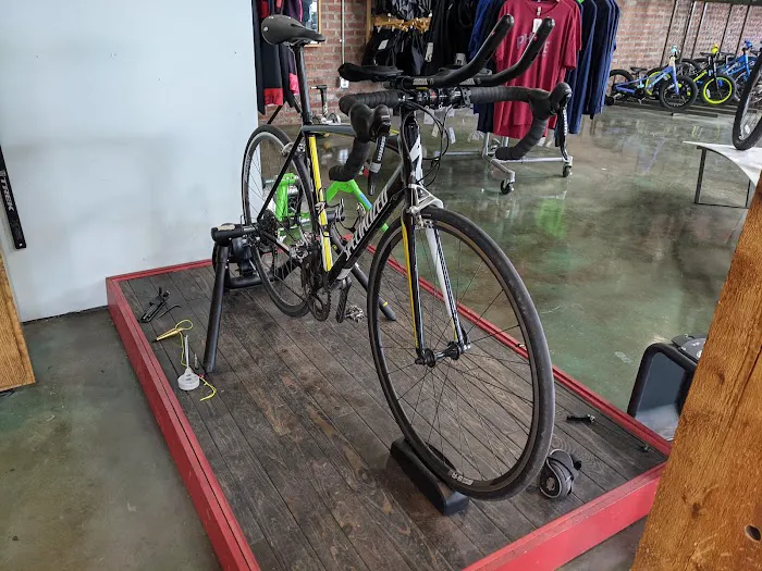 Phat Tire Bike Shop Picture 3