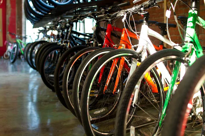 Phat Tire Bike Shop Picture 5