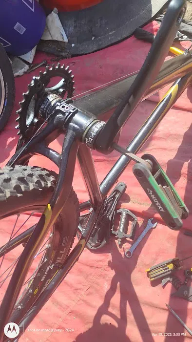 Tom's Bicycles Picture 10