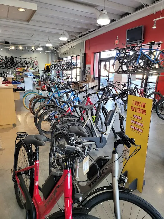 Phat Tire Bike Shop Picture 5