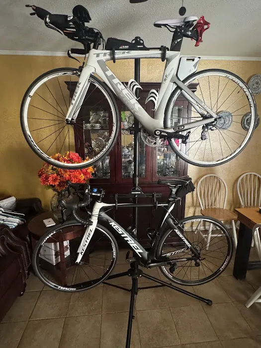 Phat Tire Bike Shop Picture 6