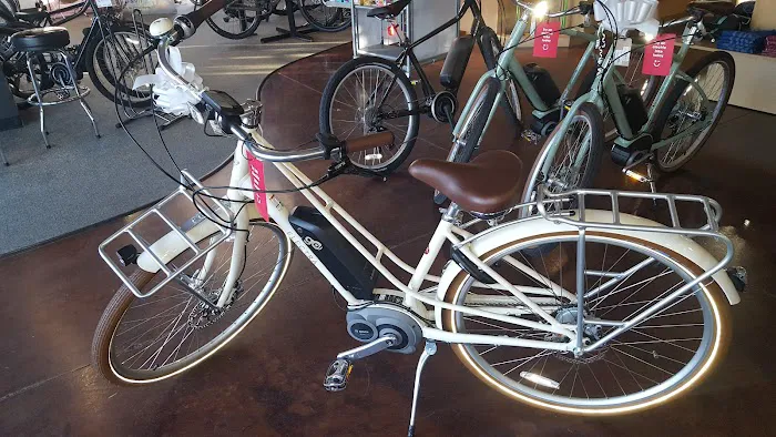 Phat Tire Bike Shop Picture 8