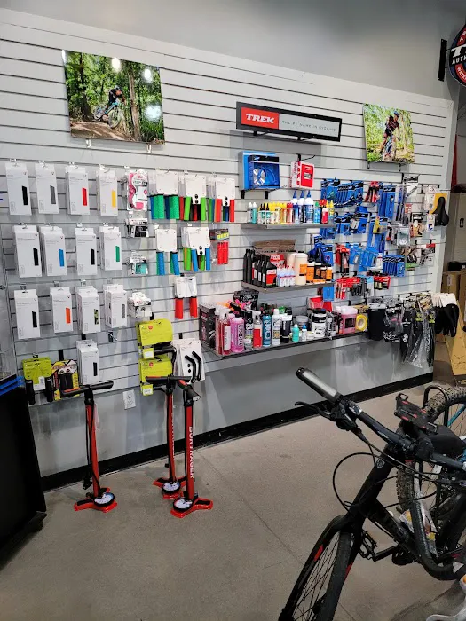 Phat Tire Bike Shop Picture 9