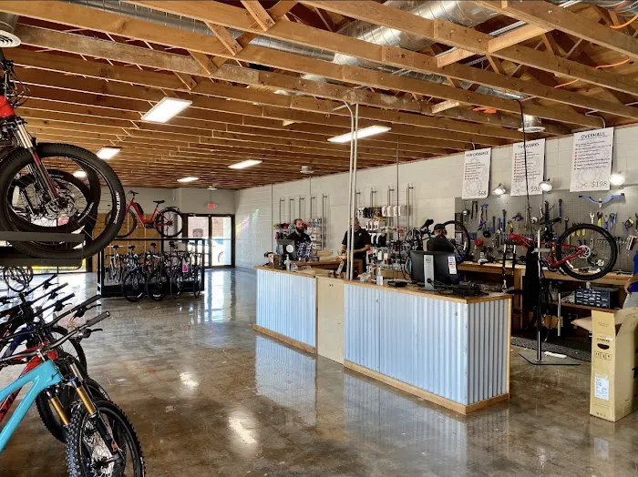 Phat Tire Bike Shop Picture 2