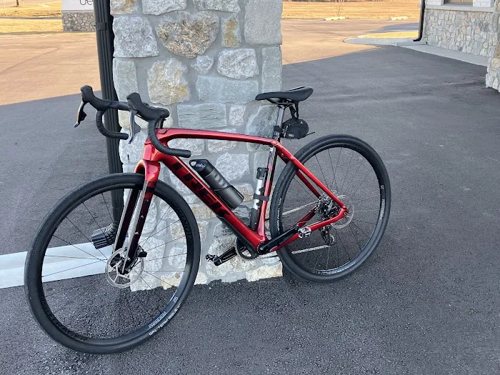 Phat Tire Bike Shop Picture 1